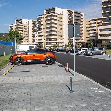 Mountain View Terrace Oasis Apartment *