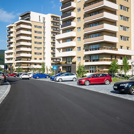 Mountain View Terrace Oasis