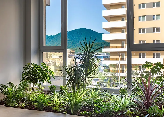 Mountain View Terrace Oasis Apartment Brașov